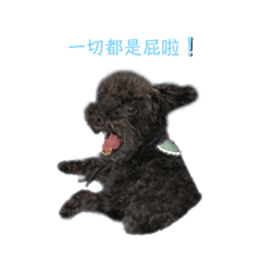 蕭雜某跳跳語錄