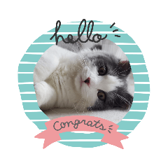 Kumi and Tororo_20210528023402