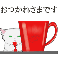 普通に使えるチンチラシルバー☆日常の猫