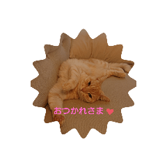 taki_20210528150401