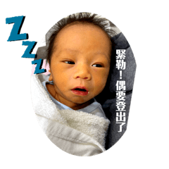 蔡小弟問世篇