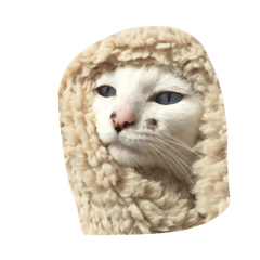 totosan2