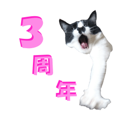 Kisarazu Cat CHOBISUKE _03