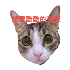 咪&薯
