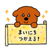 toy poodle Chan 3