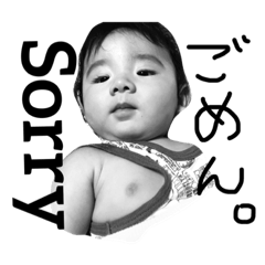 Hello bibi2