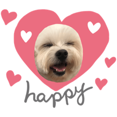 小白ㄉ快樂生活