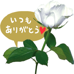 Flower04(Japanese)