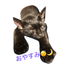 IRITANIKYOUDAI
