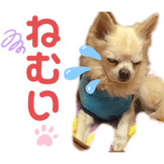 らいちゃんみーちゃん