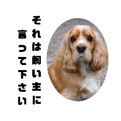 satoshi_20210528215109