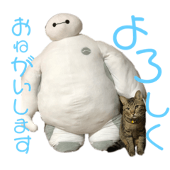 melon_20210528235338