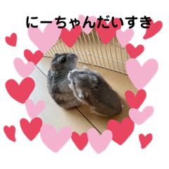 yukimuro_20210529093855
