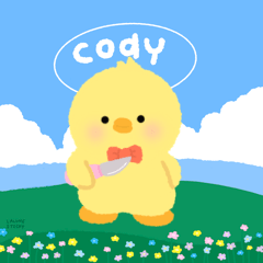 Cody Ducky 1