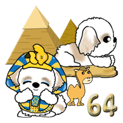 シーズー犬64『エジプト』