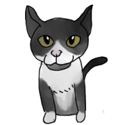 My Black Nyanko