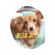Wabun_20210528181550