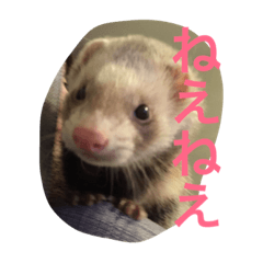 tomorrow-kun2