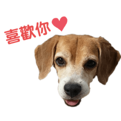 妹仔噗的表情包