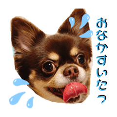 kayo_20210528224626