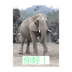 動物園站-2