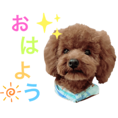 CHIE_20210528211509