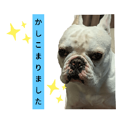yamazaki_20210528213804