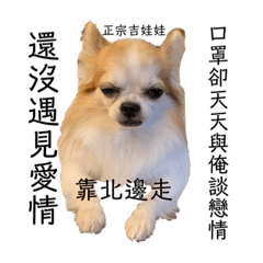 宅男多多愛逃逃