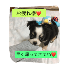 chiro2