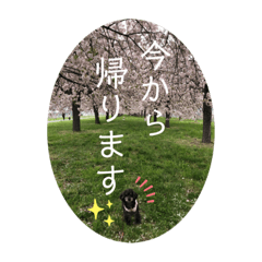 Rina_20210528235850