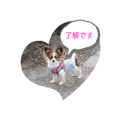 tommy_20210529000951
