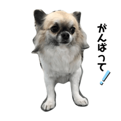 hiro&totoro_20210529171250