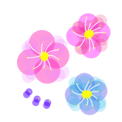 Fashionable Colorful flowers