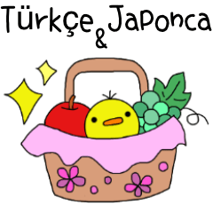 Daily Use Stickers - Turkish & Japanese