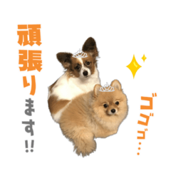 yuina_20210529120144