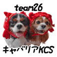 Cavalier KCS team26