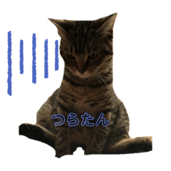 cocoa_20210529055217