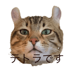miki_20210528231932