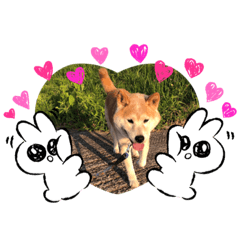 hana_20210529112337
