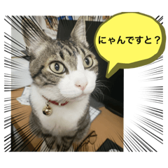 aoi_20210529171015