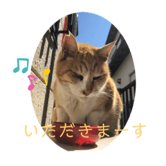 ALICE_20210529192949