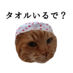 Gosaku cat and Nya cat in Ehime Sticker2