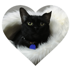 Sally_20210529203721