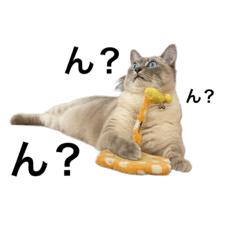 himawari_20210529220407