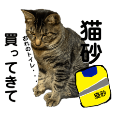 aoi_20210530014531