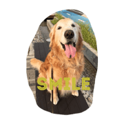 tender's stamp no.2 tender's stamp no.2