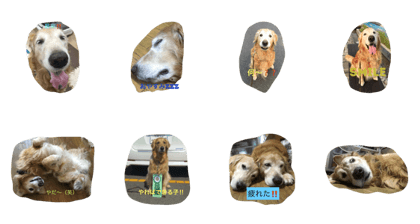 tender's stamp no.2 tender's stamp no.2