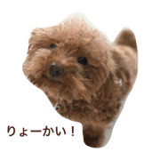 ine sticker ine sticker