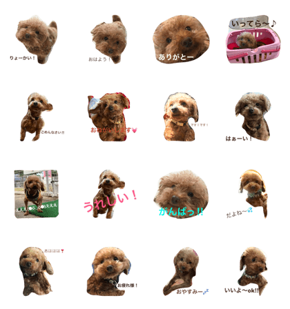 ine sticker ine sticker