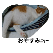 TAMA and SIRO TAMA and SIRO